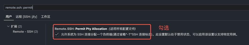 Remote.SSH Permit Pty Allocation 勾选